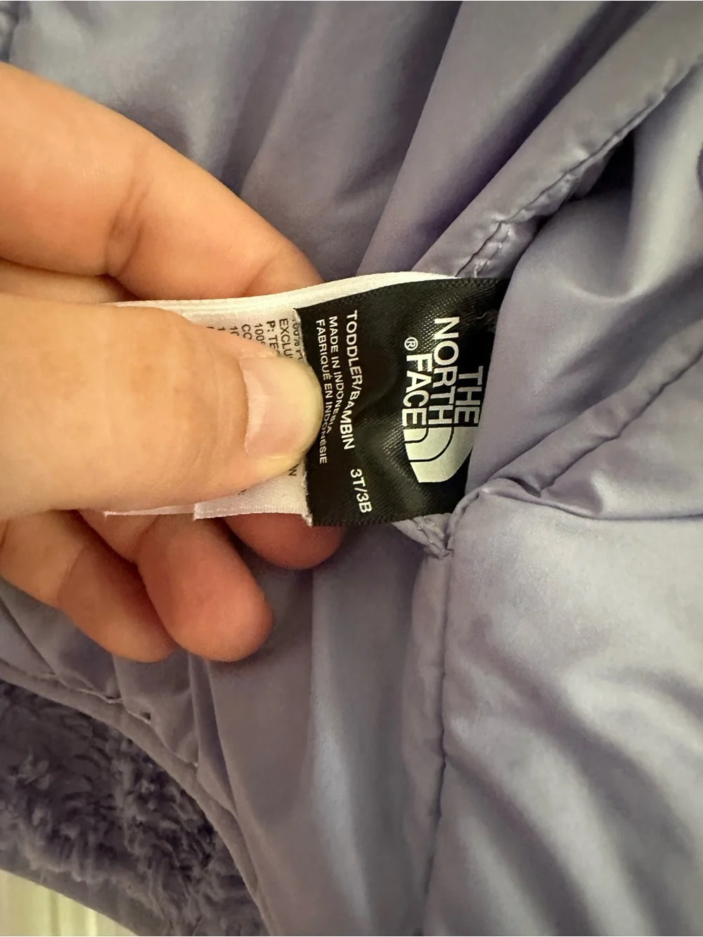 The North Face Kids Light Purple Hooded Puffer Jacket
